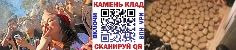 Гашиш Изолятор Петровск-Забайкальский