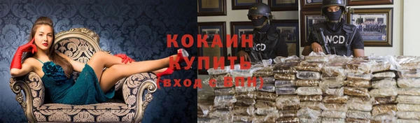 кокс Баксан